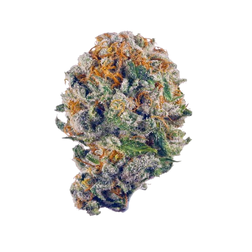 Purple Gelato