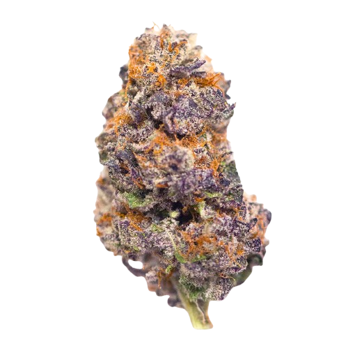 Tropicana Cherry