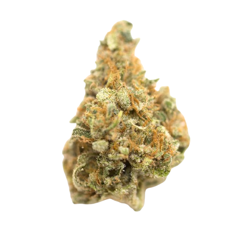 Mango Kush