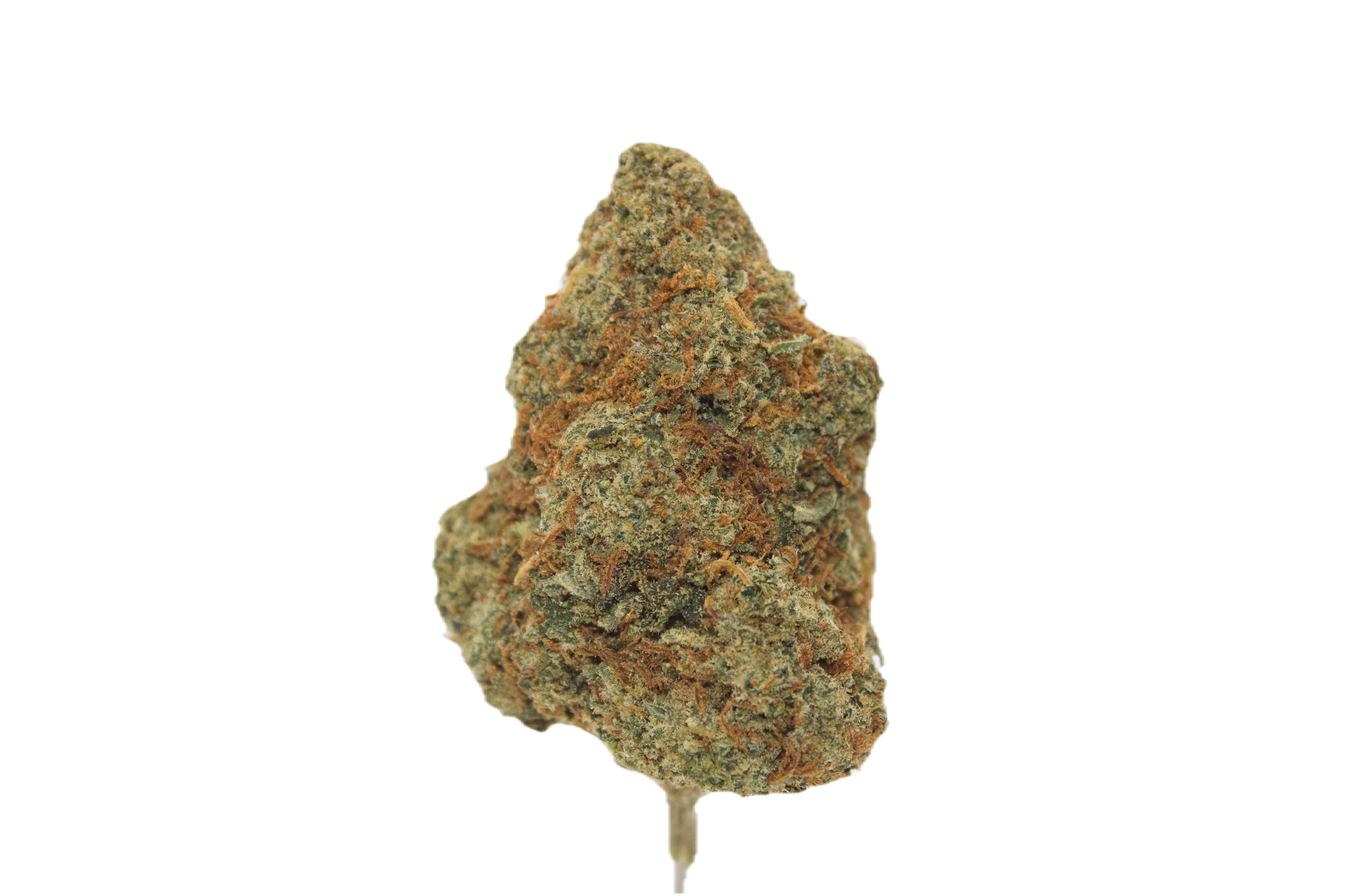 Stardawg