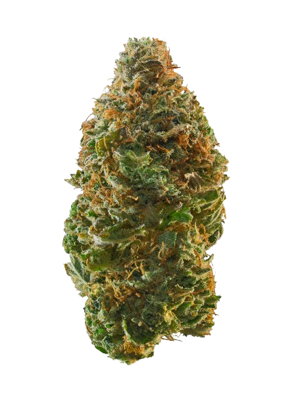 Pedro's Sweet Sativa