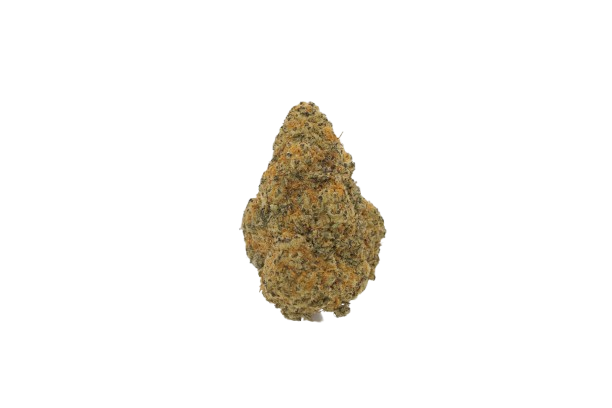 Apple Fritter