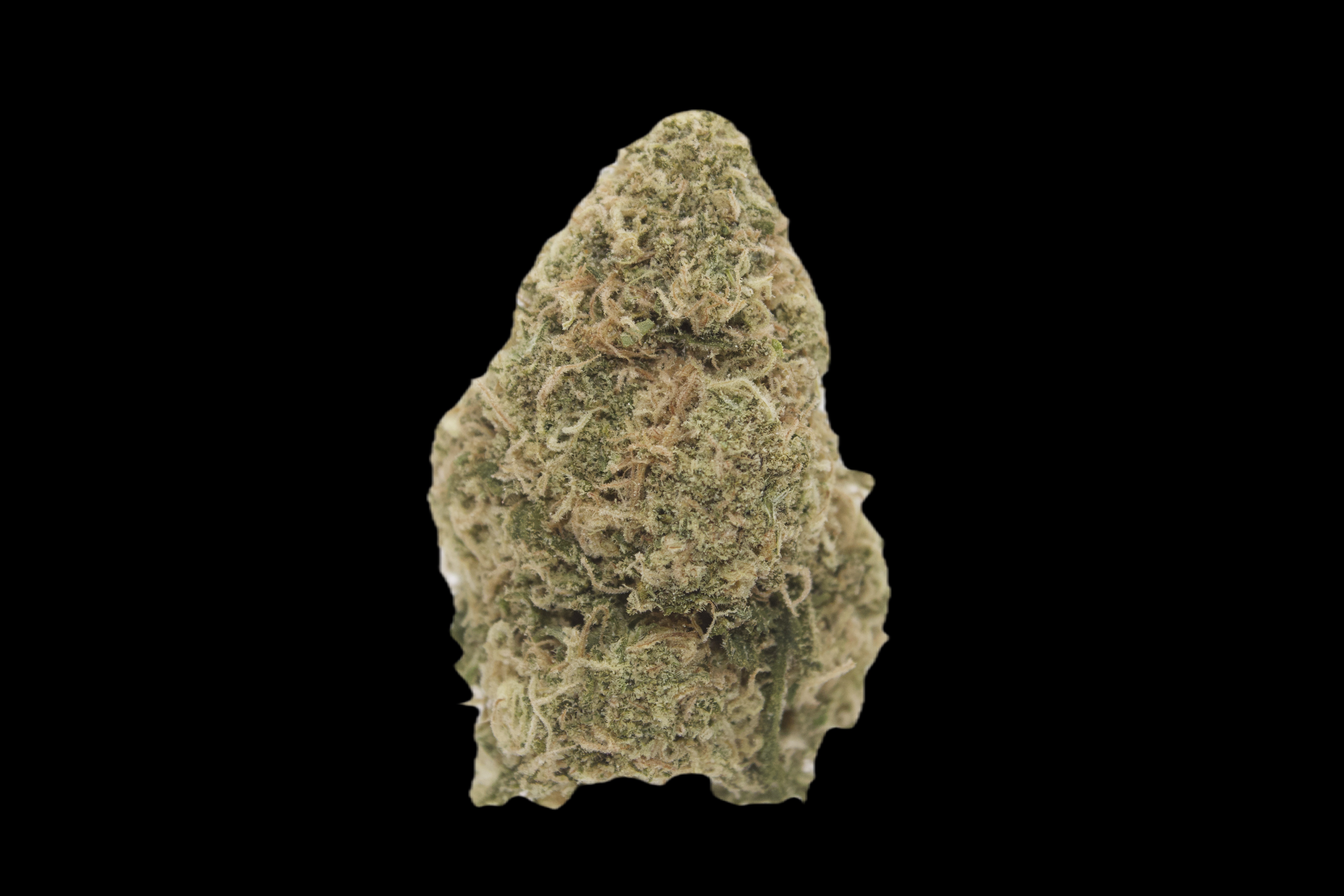Kush Mints