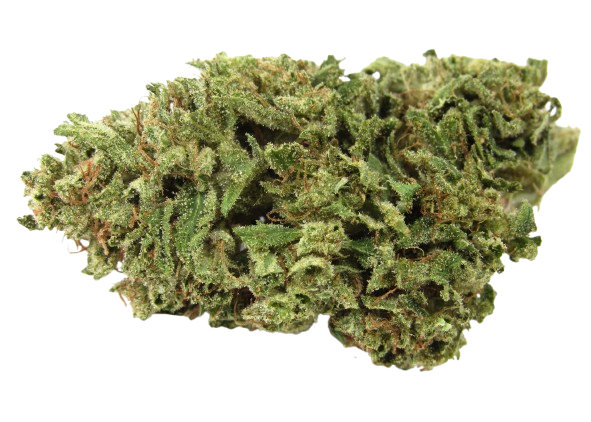 La Bomba