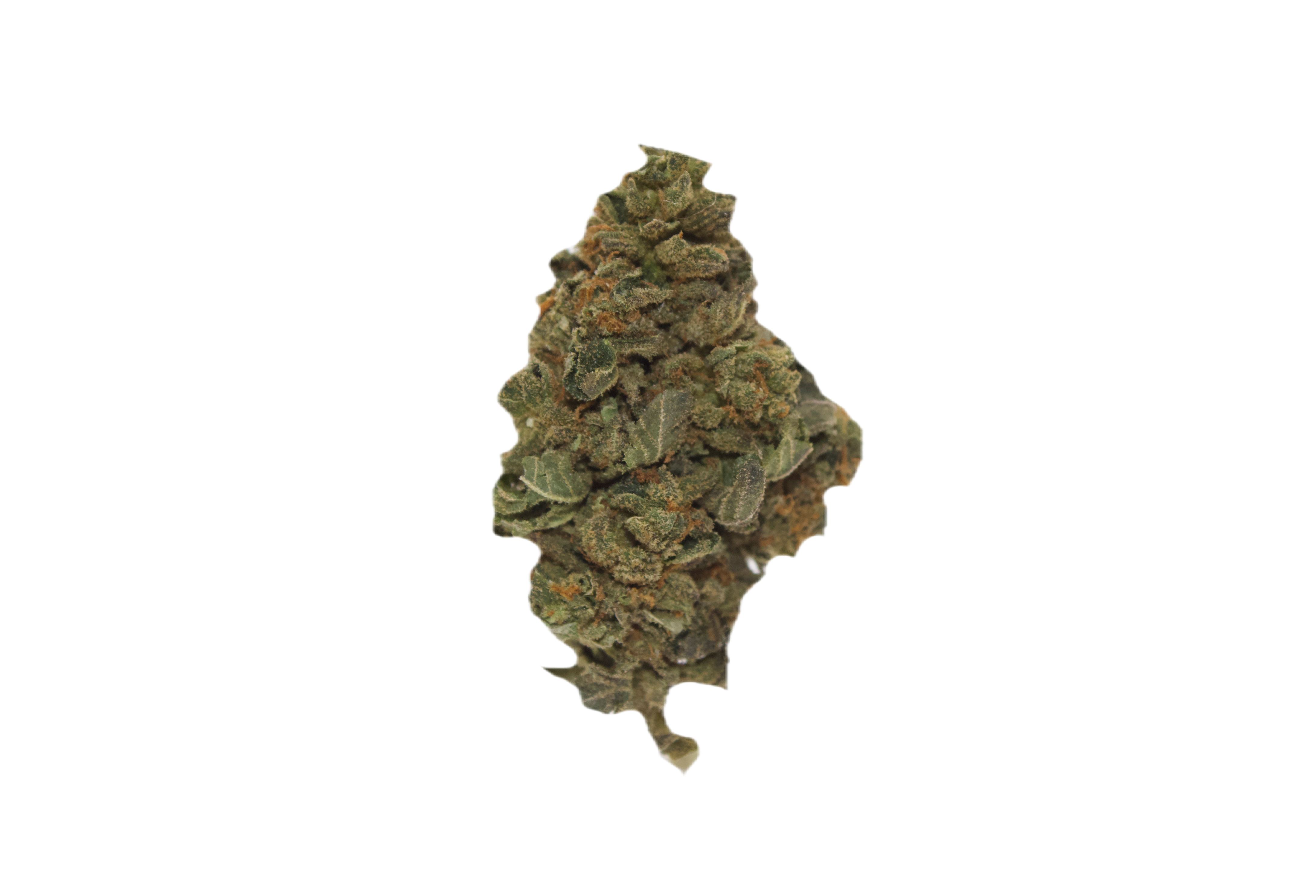 Blueberry Crumble